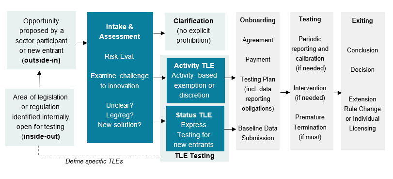 TLE process